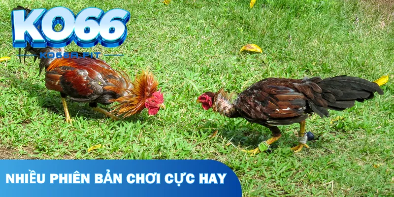 Những bước để chơi loại hình giải trí lôi cuốn