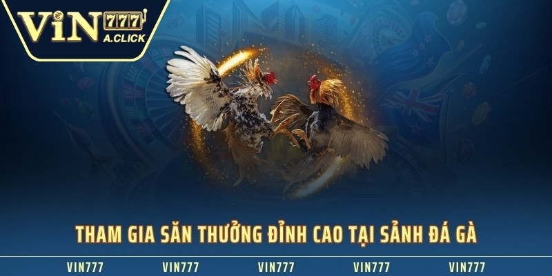 Tham gia săn thưởng đỉnh cao tại sảnh đá gà